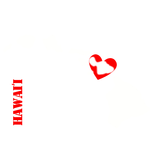 Hawaii Search and Rescue Conference